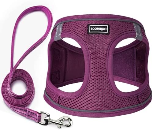 Dog Harness with Leash Set, Step-in Adjustable Puppy Pet Vest, Cranberry M by BOOMIBOO