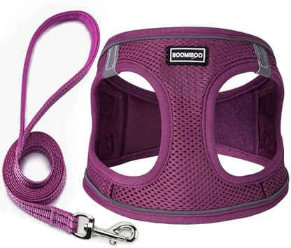 Dog Harness with Leash Set, Step-in Adjustable Puppy Pet Vest, Cranberry M by BOOMIBOO