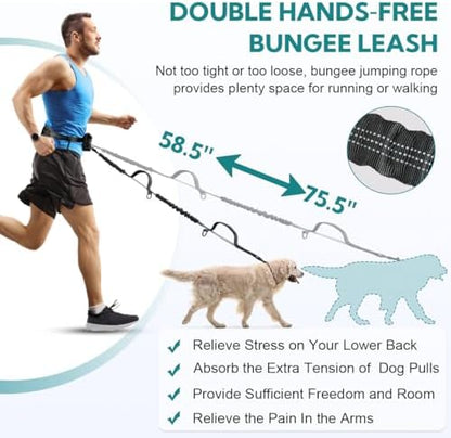 Hands Free Dog Leash for Two Dogs Walking - Image 2