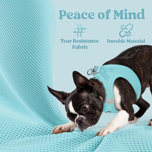 rabbitgoo Step-in Small Dog Harness, Puppy Vest - Image 4