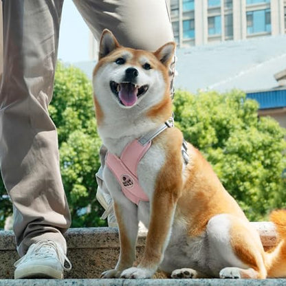 Patas Lague Dog Harness Medium Sized Dog Pet Vest - Image 2
