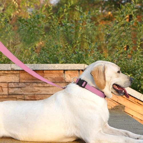 6 FT Basic Dog Leash for Large Dogs - Image 3