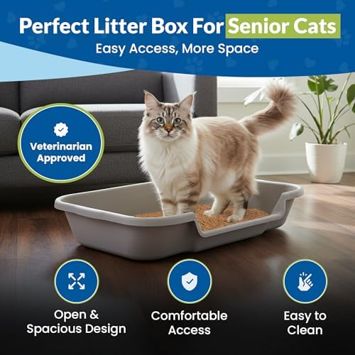 KittyGoHere Senior Cat Litter Box Large - Image 2
