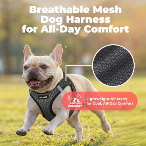 Voyager Step-in Air Dog Vest Harness - Image 5