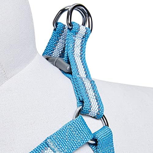 Blueberry Pet Essentials Step-in Reflective Back to Basics Dog Harness - Image 4