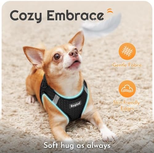 Eagloo Small Dog Harness and Leash Set, Step in Small Sized Puppy Pet Vest - Image 4