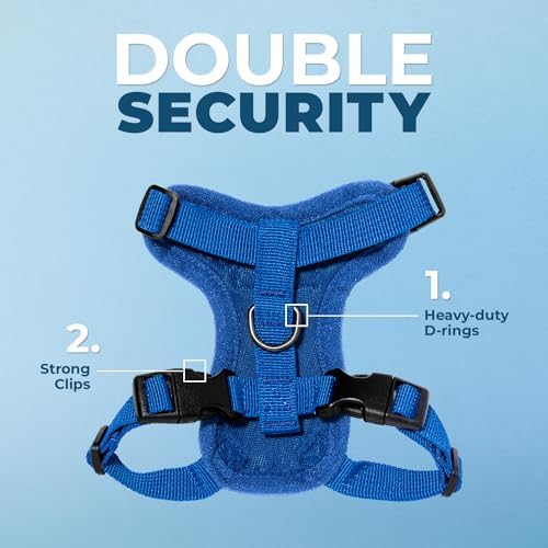 Voyager Step-in Lock Cat Harness & Leash Set - Image 2