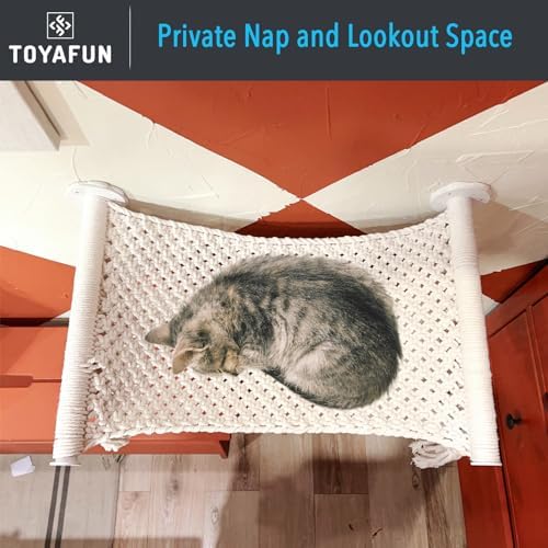 Cat Wall Shelves, Beds - Image 4