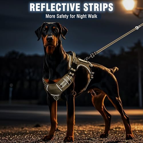 Tactical Service Dog Vest Harness and Leash Set - Image 6
