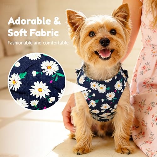 BAEJMJK Dog Harness and Leash Set - Image 3