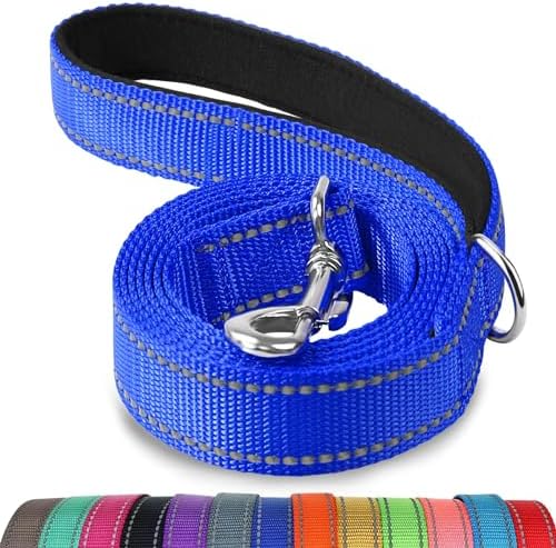Joytale Reflective Dog Leash for Medium & Large Dogs, 6 FT x 1" by Joytale