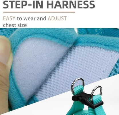 PUPTECK Dog Harness, Collar and Leash Set No Pull - Image 3