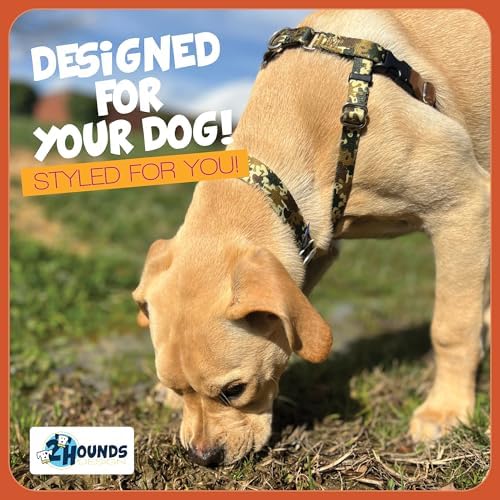 2 Hounds Design - Image 7