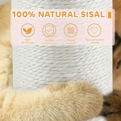 Cat Scratching Post - Image 4