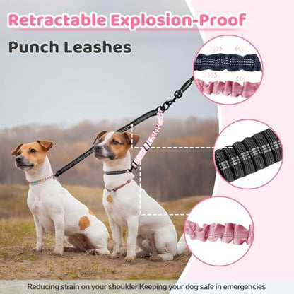 Double Dog Leash - Image 5