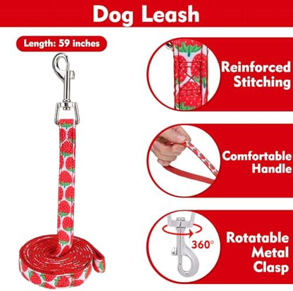 EXPAWLORER Step-in Dog Harness Small Sized and Leash Set - Image 5