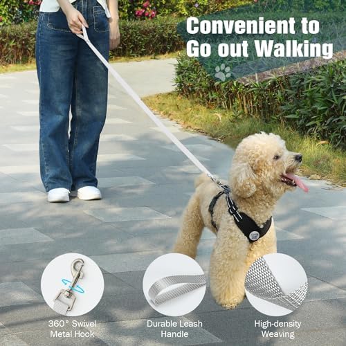 Pawaboo Small Dog Harness and Leash Set, Puppy Harness X-Frame Adjustable - Image 6