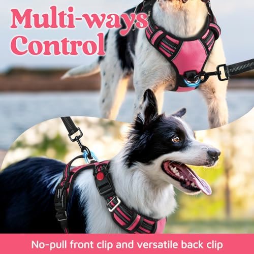 rabbitgoo Dog Harness Medium Sized, No Pull 3 Buckles Easy On & Off - Image 3