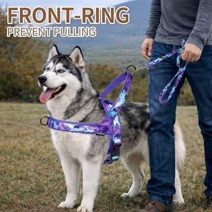 No Pull Dog Harness and Leash Set - Image 4