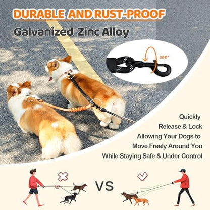 Double Dog Leash - Image 4