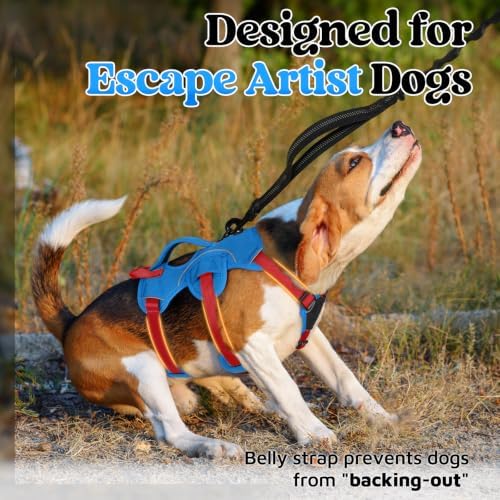 rabbitgoo Escape Proof Dog Harness - Image 2