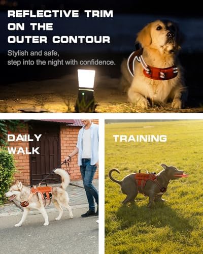 Dog Harness, Tactical No Pull for Small Sized Dog - Image 4