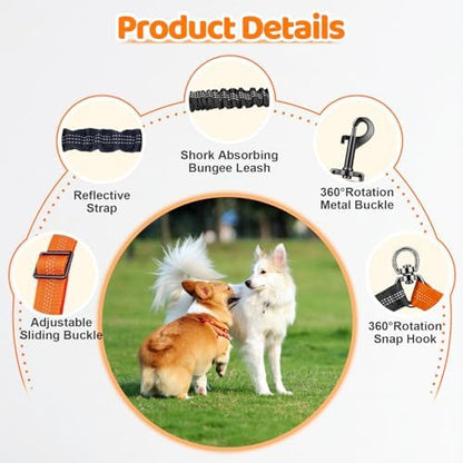 Double Dog Leash - Image 3