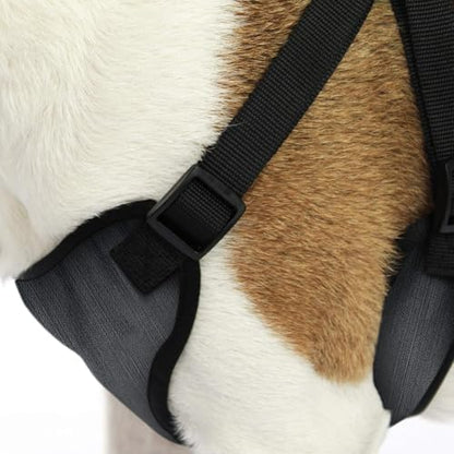 AKC Striped Step-in Dog Harness – No Pull Adjustable Vest - Image 3