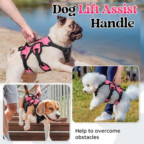 rabbitgoo Escape Proof Dog Harness - Image 3