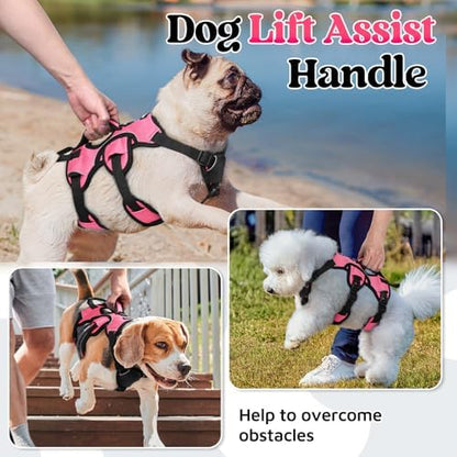 rabbitgoo Escape Proof Dog Harness - Image 3