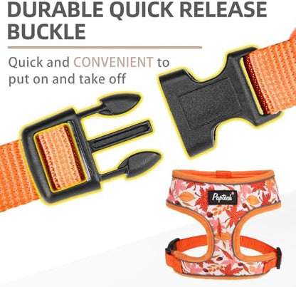 PUPTECK Fall Dog Harness and Leash Set No Pull Small Sized Dogs Puppy - Image 4