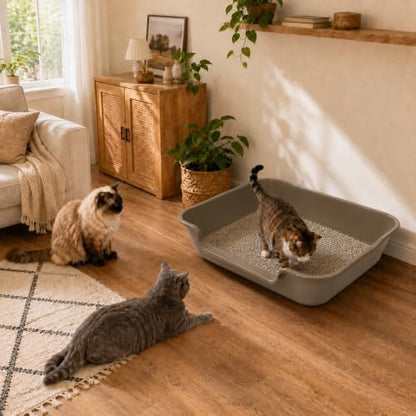 Extra Large Low Entry ABS Cat Litter Box, 2 Pack - Image 2