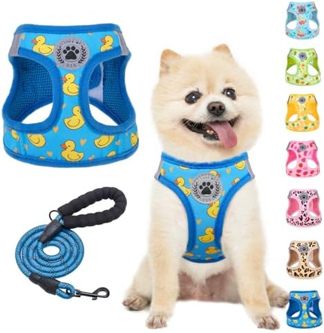 BEAUTYZOO Small Dog Harness and Leash Set, No Pull Puppy Pet Vest- Duck by BEAUTYZOO