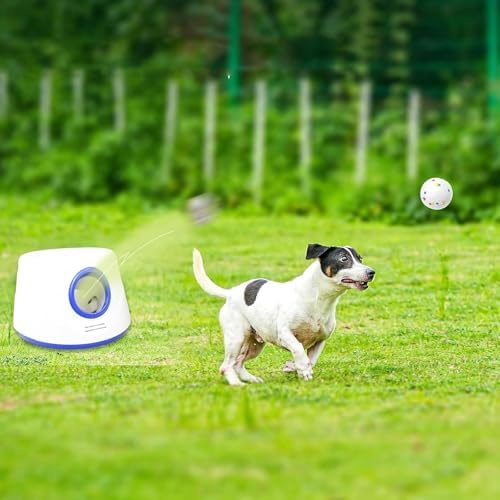 6-Pack Dog Toy Balls, 2.3-Inch ETPU Material, Replacement Balls - Image 7
