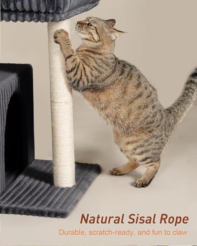 22.8" Cat Tree for Large Cat, 20.9 * 15.7in Large Perch Dark Gray - Image 5