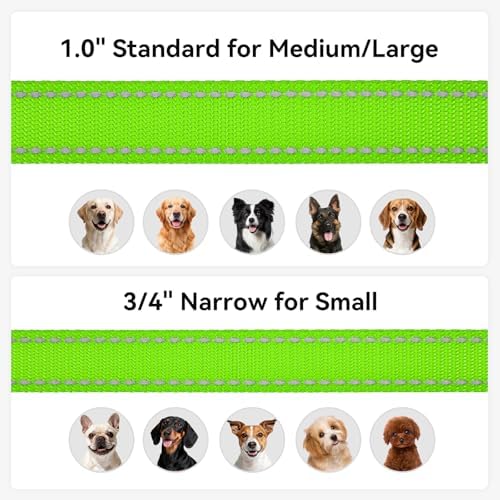 Joytale Reflective Dog Leash for Medium & Large Dogs, 6 FT x 1" - Image 6
