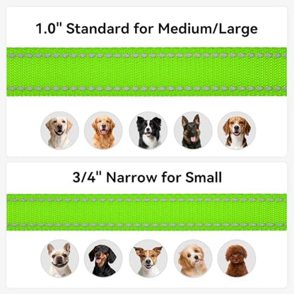 Joytale Reflective Dog Leash for Medium & Large Dogs, 4 FT x 1" - Image 6