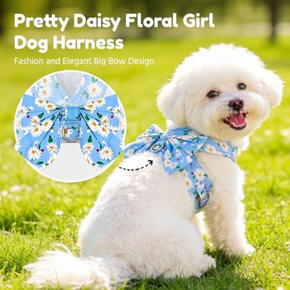 BAEJMJK Dog Harness and Leash Set - Image 2