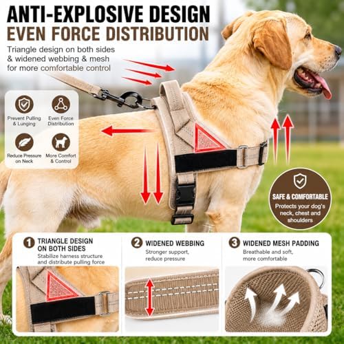 Adjustable Dog Harness No Pull - Image 5