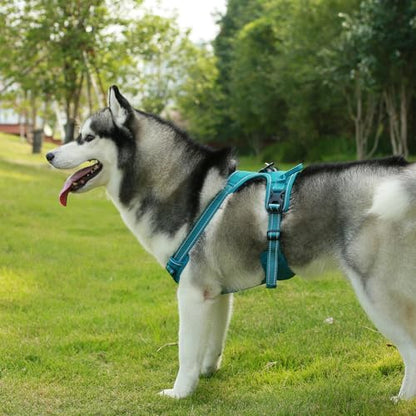 Voyager Dual Attachment No Pull Harness - Image 2
