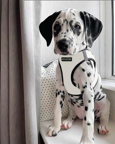 White Black Trim Step-in Dog Harness Vegan Leather Classic Style Reflective - Image 6