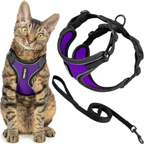 Voyager Escape-Proof Step-in Cat Harness & Leash by BestPetSuppliesLLC