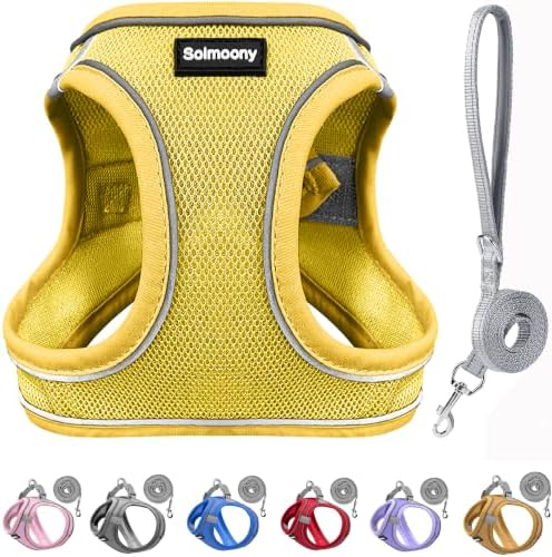 Solmoony Sparkly XXS Dog Harness and Leash Set, Step in Soft Light Puppy Vest by SOLMOONY