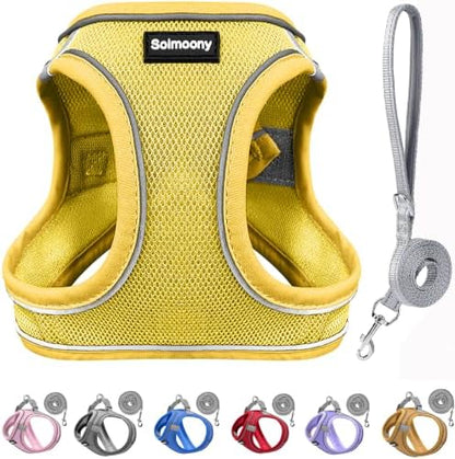 Solmoony Sparkly XXS Dog Harness and Leash Set, Step in Soft Light Puppy Vest by SOLMOONY