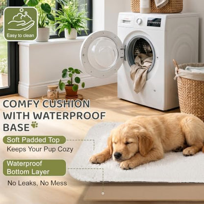 Portable Dog Crate for Car Travel - Image 4