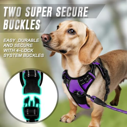 BARKBAY Dog Harness No Pull for Small Sized Dog Front Back Clips, Dog Vest - Image 4