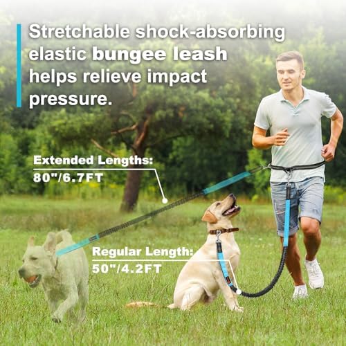 Laqibak Hands Free Dog Leash, Adjustable Waist Leash - Image 3