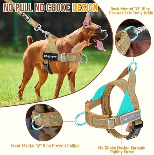 SlowTon No Pull Dog Harness and Leash Set - Image 2