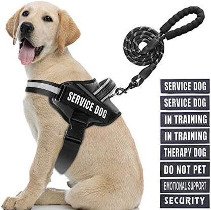 Service Dog Vest Harness and Leash Set, Animire in Training Dog Harness by Animire