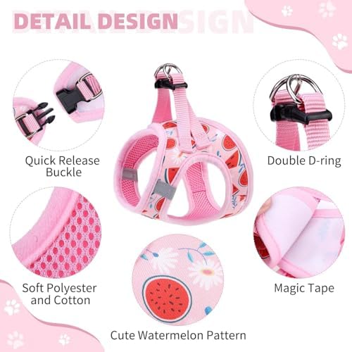 KOOLTAIL Dog Harness and Leash Set - Image 2
